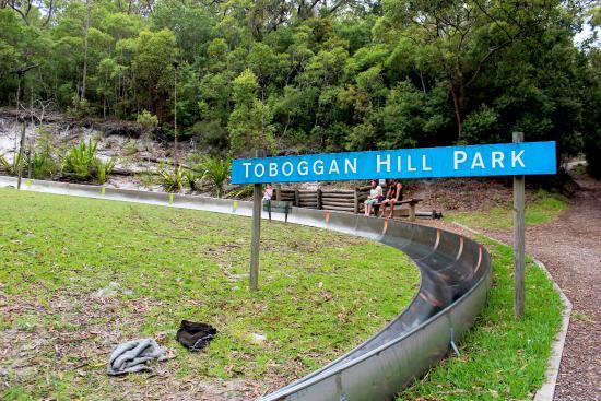 Toboggan Hill Park